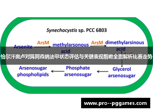 恰尔汗奥卢对阵阿森纳法甲状态评估与关键表现前瞻全面解析比赛走势